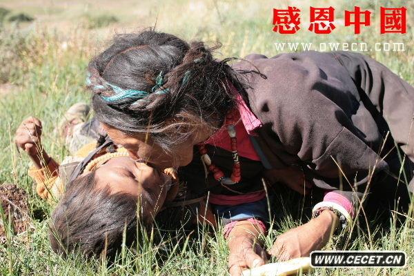 义西巴毛出生于1958年7月1日,今年49。她在我的印象里她是个很要强的女人,她很爽朗也很爱笑。村里的一位老人对我说:“义西巴毛是个很可怜但很坚强的女人。她16岁的大女儿在牧区放牧,义西巴毛每次去牧区都会把残疾的儿子背过去。年轻的时候义西巴毛背儿子去牧区只需要大半天,可现在她老了又有病,上次她将儿子从海拔六千多米的山上背下来花了将近两天的时间。义西巴毛舍不得丢掉残疾的儿子,做什么她都尽量把他带上!”图/文:张仁杰 (图23)