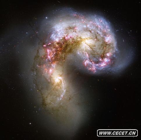 触角星系 这张哈勃太空望远镜拍摄的图片,是这对正在合并的星系迄今最为锐利的图片。这两个触角星系是在大约5亿年前开始发生碰撞合并的,是触角星系最新和最年轻的合并范例。在碰撞过程中,会生成数十亿的恒星。在触角星系中,近50%的昏暗物体是年轻的恒星群,各自包含数以万计的恒星。从图片上可明显看到,图像中心左边和右边的橙色斑点分别是两个原星系的中心,它们含有两个触角星系大部分的原有恒星。 这两个星系点缀有亮蓝色恒星生成区域,周围被发光氢气环绕,图片中显示为粉红色。