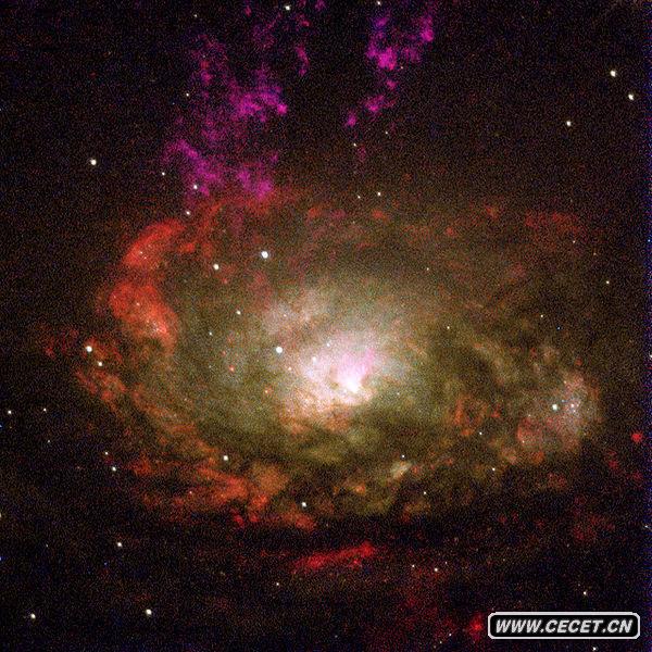 圆规座星系 圆规座星系位于圆规星座内,是塞弗特星系。在这张图片中以红色来代表的外环,距离核心约有700光年,同时也是大量恒星诞生的区域。内环距核心有130光年。圆规座星系位于南天的圆规座内,用小型的望远镜就能看到它。