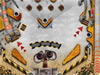 []̨
