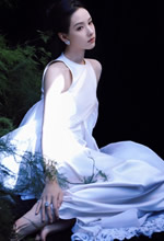 �¶��黨���������˼������