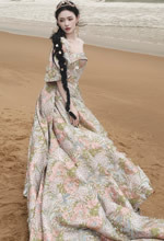 �������ں����׾��е�