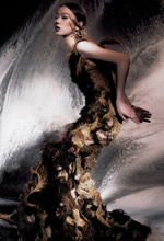 �������ڷ�������