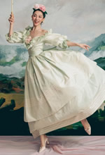 �ӳ����Ի�������������